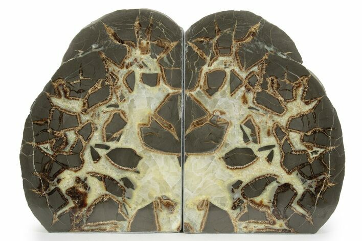 Gorgeous Septarian Geode Bookends - Utah #241989